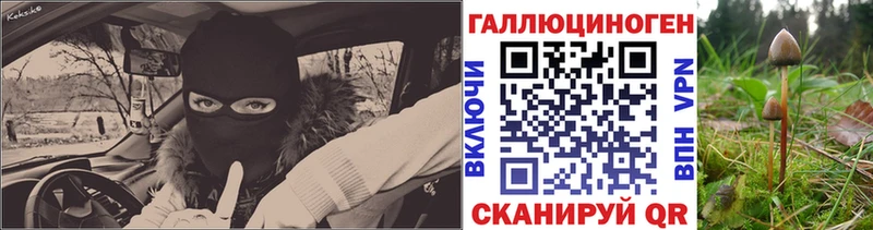 Галлюциногенные грибы прущие грибы  Купить закладки  Цимлянск 
